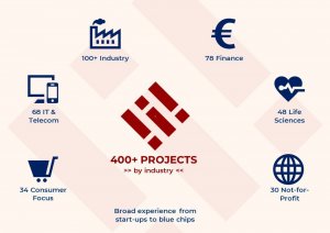 400 consulting projects by industry showing experience across business areas and company sizes